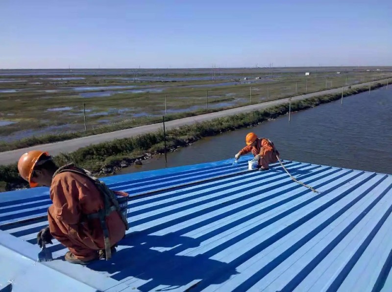 通山彩钢瓦屋面防腐翻新